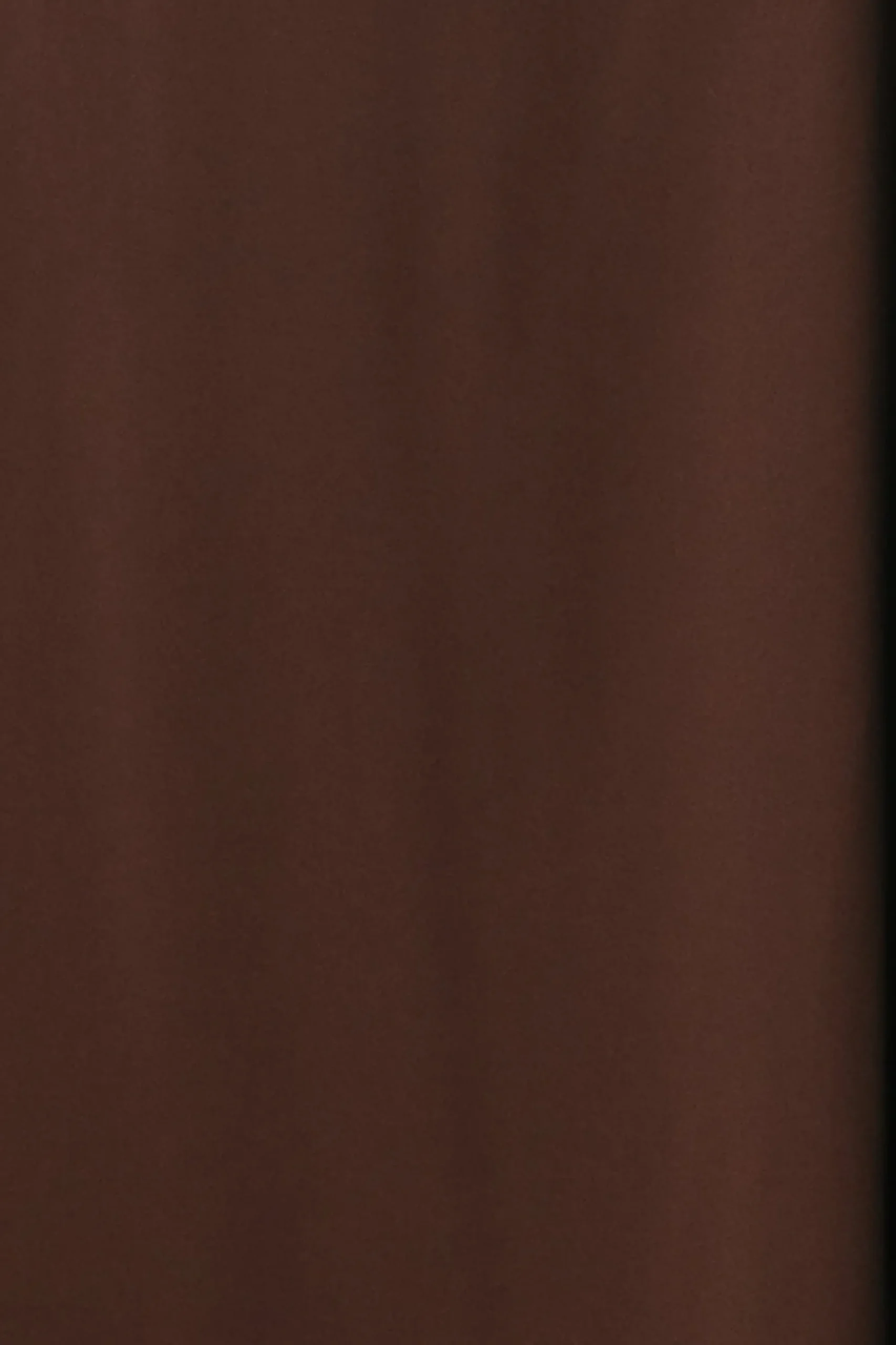 Best Baltic Born Fabric Swatch - Colette Chiffon | Espresso