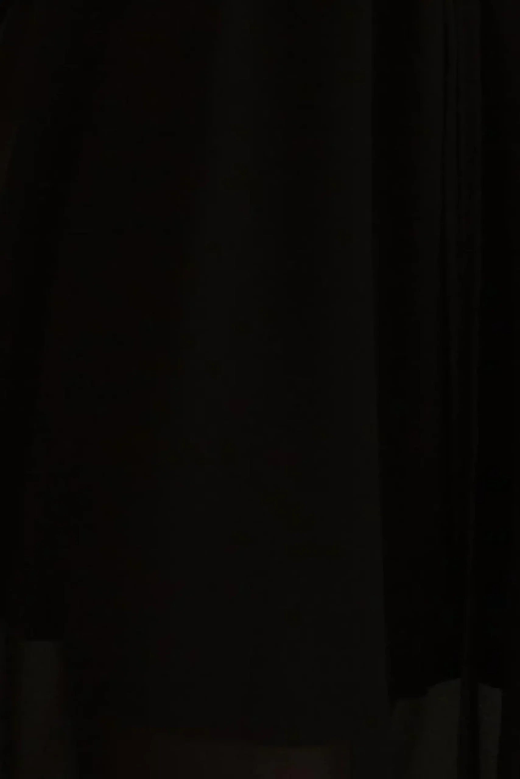 Discount Baltic Born Fabric Swatch - Esmerelda Velvet | Black